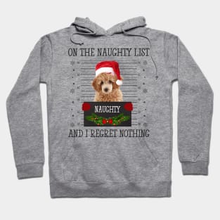 On The Naughty List, And I Regret Nothing Hoodie